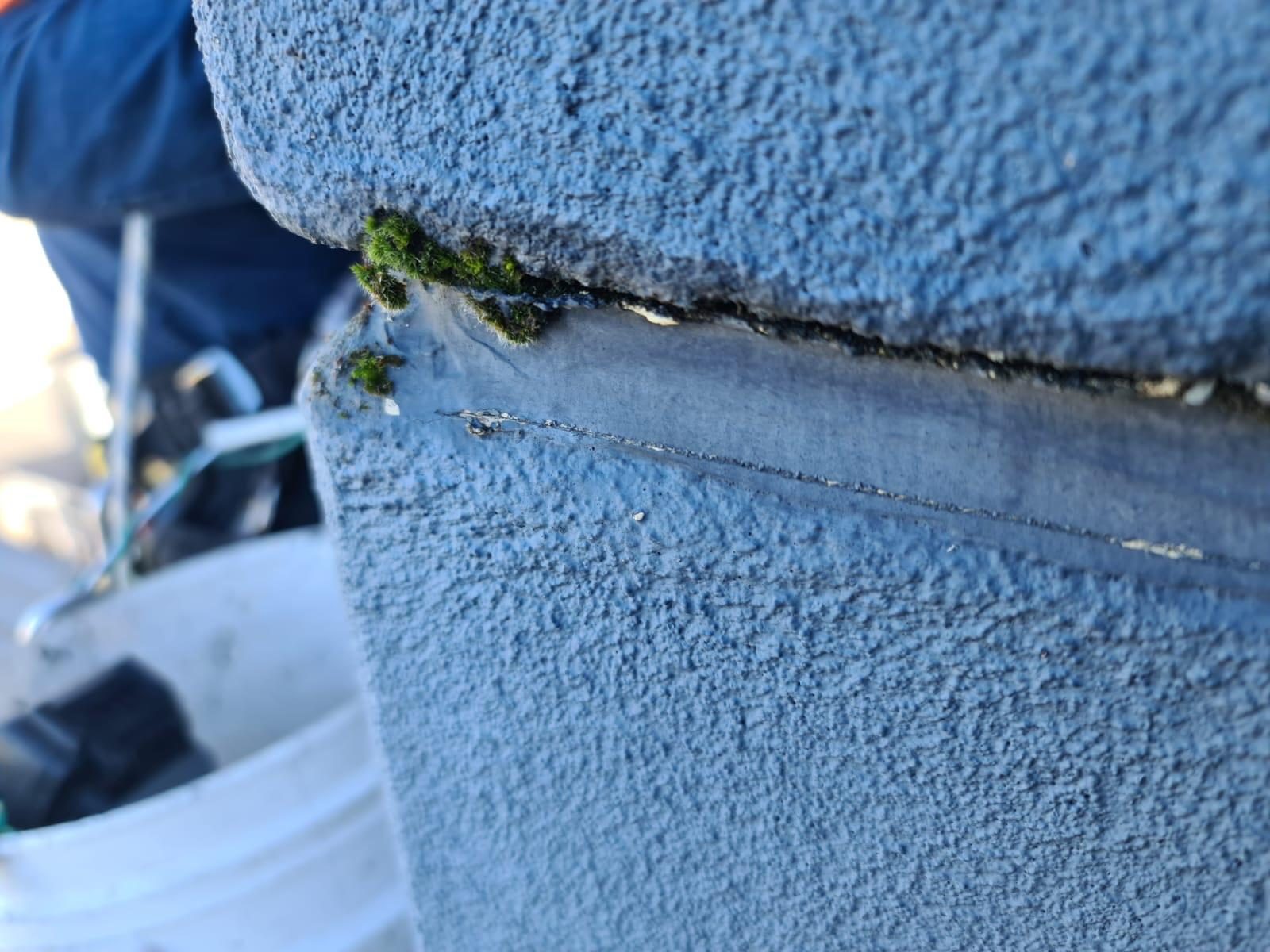 Moss growing from failed expansion joint on Melbourne building